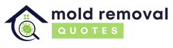 Orlando Mold Removal